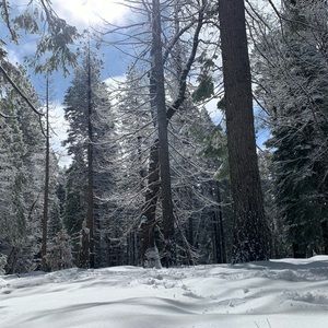 Meet your Posher, Dario